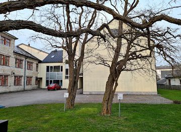 estonia/kuressaare/attraction/harilik-robiina