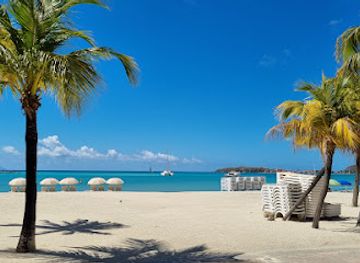 sint-maarten/great-bay/attraction/sxm-st-maarten-natural-island-tour