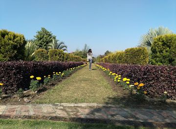 india/northeast-india/attraction/chingarel-biodiversity-park