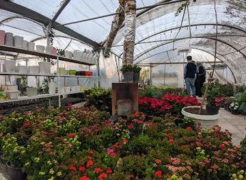 iraq/sulaymaniyah-governorate/attraction/shetlge-bahesht