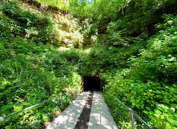 Bluespring Caverns Park