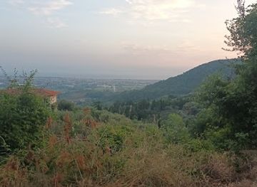 italy/versilia/attraction/botrici