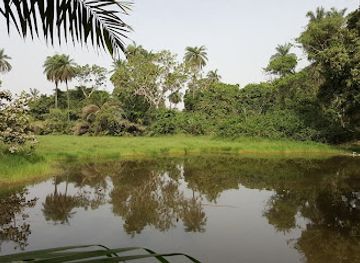 the-gambia/kiang-east-national-park/attraction/abuko-nature-reserve