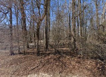 mississippi/desoto-national-forest/attraction/sunflower-wildlife-management-area