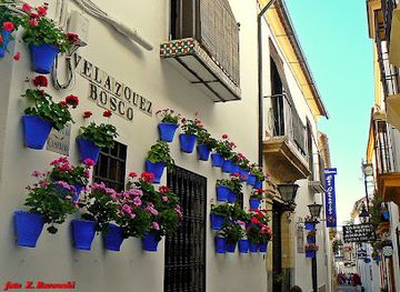 spain/cordoba/la-juderia/attraction/velazquez-bosco-street
