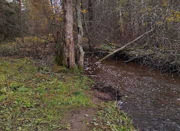 finland/espoo/attraction/malminmetsa-forest