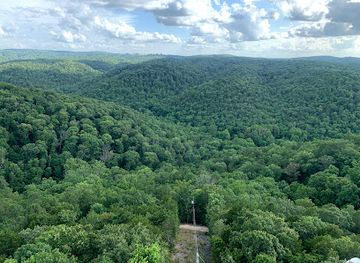 arkansas/eureka-springs/attraction/razorback-tower