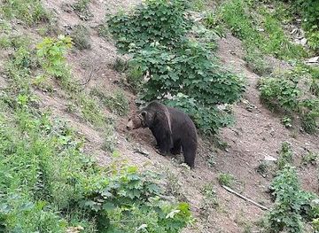 romania/brasov/attraction/outdoor-holidays