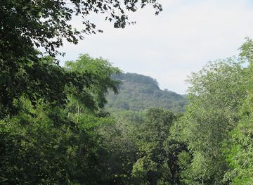 bulgaria/golden-sands/attraction/park-przyrodniczy-zlotych-piaskow