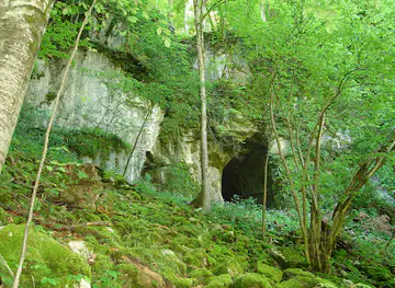 Peștera Moanei
