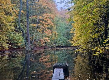 poland/pomerania/attraction/dolina-elfow