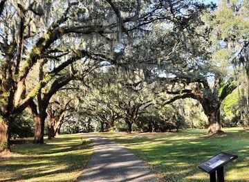 south-carolina/summerville/attraction/charles-towne-landing-state-historic-site