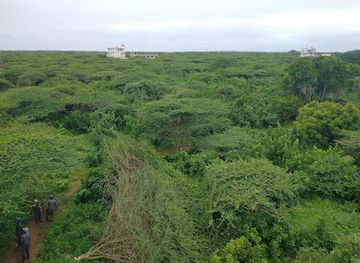 kenya/lamu-archipelago/attraction/ras-kitao