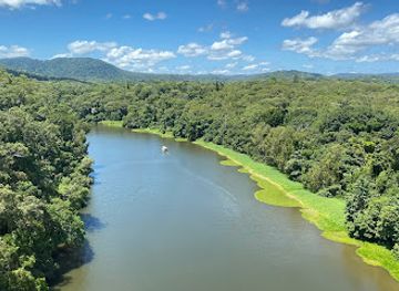 australia/cairns/palm-cove/attraction/skyrail-rainforest-cableway