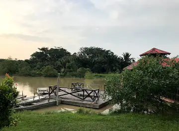 Kampung Kuantan Fireflies Park (Selangor)