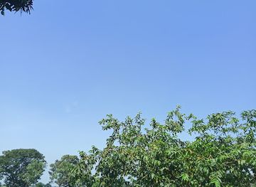 ecuador/los-rios-region/attraction/vista-del-rio-los-moran