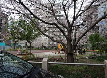 japan/chikuzen/attraction/mizuho-park