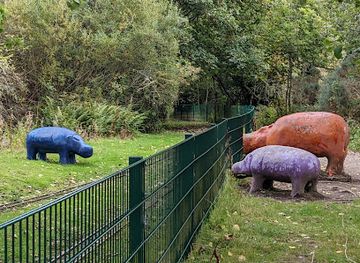 united-kingdom/inverness/attraction/concrete-hippos
