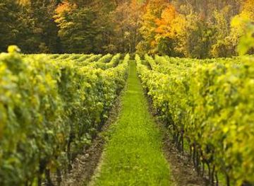 australia/melbourne/attraction/australian-wine-tour-company