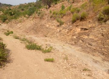 ethiopia/yabelo-wildlife-sanctuary/attraction/nageelle-boorana-paarkii-leeykum-nagelle-borana-leykum-garden