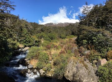 new-zealand/tongariro-national-park/attraction/whakapapa-nature-walk