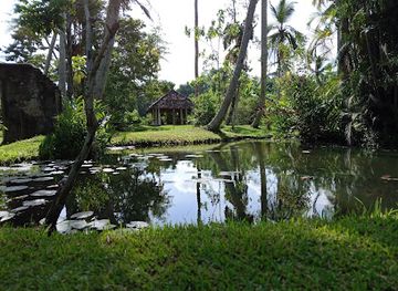 sri-lanka/unawatuna/attraction/the-paddy-island