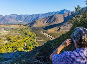 dominican-republic/santiago/attraction/maipo-wine-tours