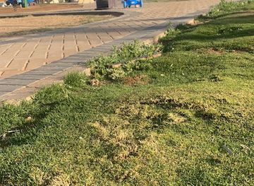 saudi-arabia/tabuk-mountains/attraction/al-rajhi-park