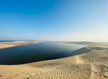 Desert Safari Doha | Inland Sea Tours Qatar