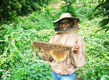 jamaica/port-maria/attraction/livity-inspirations