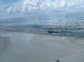 maldives/thoddoo/attraction/crab-beach