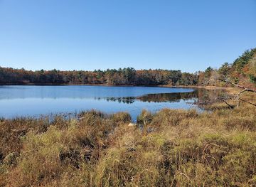 massachusetts/plymouth-county/attraction/town-forest-conservation-area