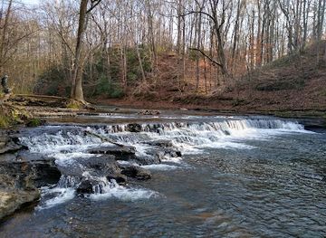 tennessee/fall-creek-falls-state-park/attraction/david-crockett-state-park