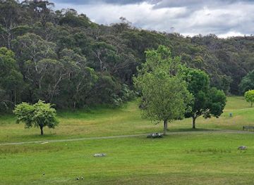 australia/yarra-valley/attraction/kangaroo-viewing-trail