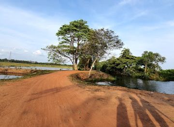 sri-lanka/matara-district/attraction/kirala-kele-sanctuary