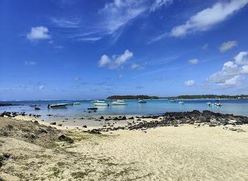 mauritius/tamarin/attraction/blue-bay-marine-park