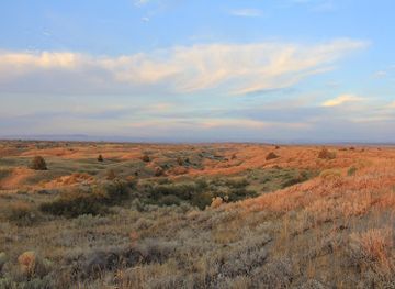 washington/the-inland-empire/attraction/juniper-dunes-wilderness
