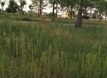 india/himalayas/attraction/mahabharat-lekh