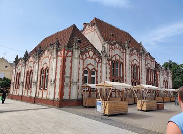 croatia/medimurje/attraction/zrinski-castle