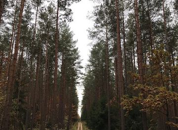 poland/podlachia/attraction/rezerwat-przyrody-wielki-las