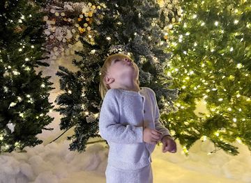 arizona/prescott-national-forest/attraction/haus-of-themes