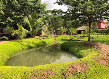 ghana/accra/east-legon/attraction/legon-botanical-gardens-ghana