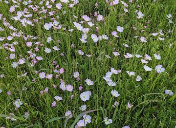texas/college-station/attraction/castlerock-park