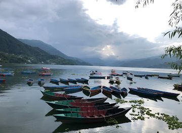 nepal/pokhara/gupteshwor-cave/attraction/egret-breeding-ground