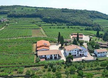 italy/verona/attraction/gamba-winery-wine-tasting