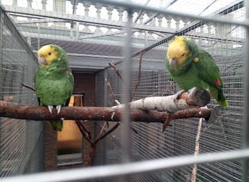 czechia/north-moravia/attraction/parrot-zoo