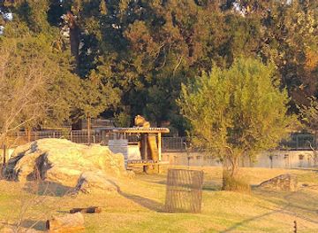 south-africa/gauteng/attraction/johannesburg-zoo