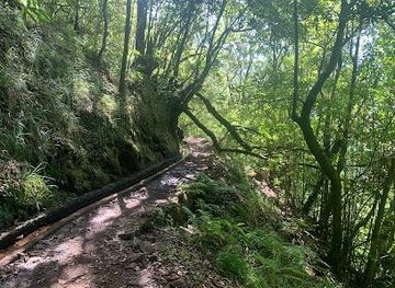 portugal/madeira/attraction/levada-dos-cedros