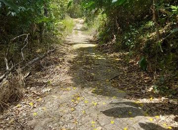 trinidad-and-tobago/caroni/attraction/apito-eco-farm-and-nature-park