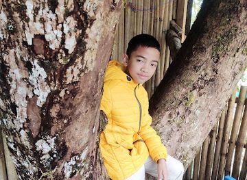 india/arunachal-pradesh/attraction/angu-village